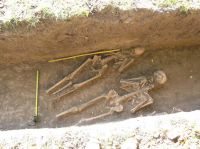 Cronica Cercetărilor Arheologice din România, Campania 2013. Raportul nr. 106