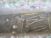 Cronica Cercetărilor Arheologice din România, Campania 2013. Raportul nr. 106
