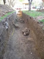 Cronica Cercetărilor Arheologice din România, Campania 2013. Raportul nr. 106