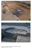 Cronica Cercetărilor Arheologice din România, Campania 2013. Raportul nr. 110
