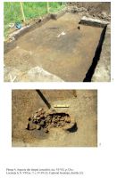 Cronica Cercetărilor Arheologice din România, Campania 2013. Raportul nr. 110