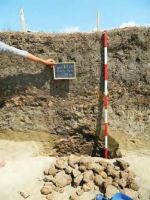 Cronica Cercetărilor Arheologice din România, Campania 2013. Raportul nr. 112