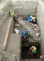 Cronica Cercetărilor Arheologice din România, Campania 2013. Raportul nr. 115