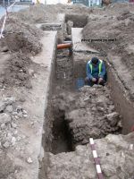 Cronica Cercetărilor Arheologice din România, Campania 2013. Raportul nr. 115