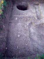 Cronica Cercetărilor Arheologice din România, Campania 2013. Raportul nr. 117