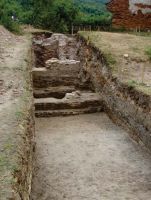 Cronica Cercetărilor Arheologice din România, Campania 2013. Raportul nr. 118