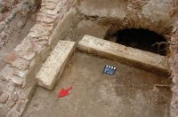 Cronica Cercetărilor Arheologice din România, Campania 2013. Raportul nr. 118
