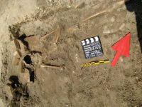 Cronica Cercetărilor Arheologice din România, Campania 2013. Raportul nr. 118