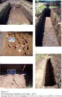 Cronica Cercetărilor Arheologice din România, Campania 2013. Raportul nr. 120.<br /> Sectorul Stadion.