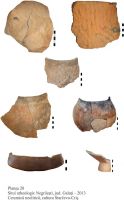 Cronica Cercetărilor Arheologice din România, Campania 2013. Raportul nr. 120.<br /> Sectorul curtea-scolii.