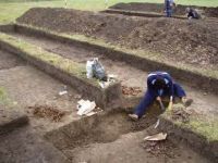 Cronica Cercetărilor Arheologice din România, Campania 2013. Raportul nr. 127