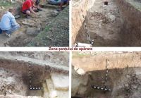 Cronica Cercetărilor Arheologice din România, Campania 2013. Raportul nr. 130