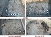 Cronica Cercetărilor Arheologice din România, Campania 2013. Raportul nr. 130