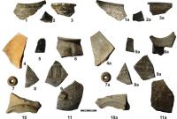Cronica Cercetărilor Arheologice din România, Campania 2013. Raportul nr. 132