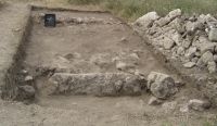 Cronica Cercetărilor Arheologice din România, Campania 2014. Raportul nr. 1