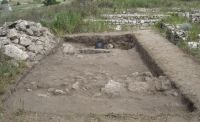 Cronica Cercetărilor Arheologice din România, Campania 2014. Raportul nr. 1