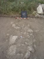 Cronica Cercetărilor Arheologice din România, Campania 2014. Raportul nr. 1