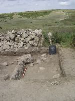 Cronica Cercetărilor Arheologice din România, Campania 2014. Raportul nr. 1