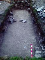 Cronica Cercetărilor Arheologice din România, Campania 2014. Raportul nr. 2