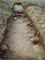Cronica Cercetărilor Arheologice din România, Campania 2014. Raportul nr. 2