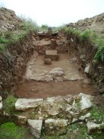 Cronica Cercetărilor Arheologice din România, Campania 2014. Raportul nr. 2