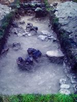 Cronica Cercetărilor Arheologice din România, Campania 2014. Raportul nr. 2