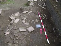 Cronica Cercetărilor Arheologice din România, Campania 2014. Raportul nr. 5