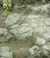 Cronica Cercetărilor Arheologice din România, Campania 2014. Raportul nr. 6