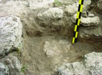 Cronica Cercetărilor Arheologice din România, Campania 2014. Raportul nr. 6