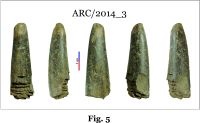Cronica Cercetărilor Arheologice din România, Campania 2014. Raportul nr. 8