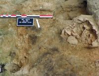 Cronica Cercetărilor Arheologice din România, Campania 2014. Raportul nr. 13
