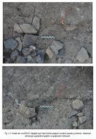 Cronica Cercetărilor Arheologice din România, Campania 2014. Raportul nr. 16