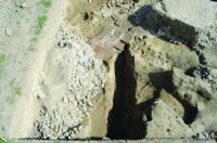 Cronica Cercetărilor Arheologice din România, Campania 2014. Raportul nr. 18