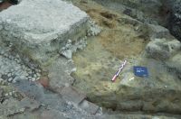 Cronica Cercetărilor Arheologice din România, Campania 2014. Raportul nr. 18