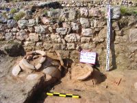 Cronica Cercetărilor Arheologice din România, Campania 2014. Raportul nr. 20