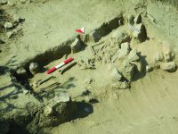 Cronica Cercetărilor Arheologice din România, Campania 2014. Raportul nr. 21