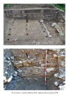 Cronica Cercetărilor Arheologice din România, Campania 2014. Raportul nr. 29