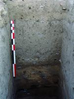 Cronica Cercetărilor Arheologice din România, Campania 2014. Raportul nr. 40