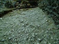 Cronica Cercetărilor Arheologice din România, Campania 2014. Raportul nr. 41