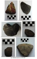 Cronica Cercetărilor Arheologice din România, Campania 2014. Raportul nr. 51