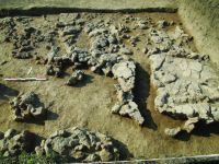 Cronica Cercetărilor Arheologice din România, Campania 2014. Raportul nr. 59