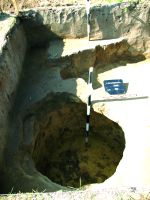 Cronica Cercetărilor Arheologice din România, Campania 2014. Raportul nr. 89