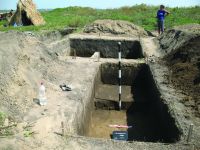 Cronica Cercetărilor Arheologice din România, Campania 2014. Raportul nr. 89