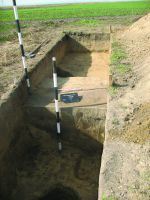 Cronica Cercetărilor Arheologice din România, Campania 2014. Raportul nr. 89