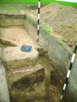 Cronica Cercetărilor Arheologice din România, Campania 2014. Raportul nr. 89