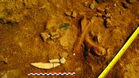 Cronica Cercetărilor Arheologice din România, Campania 2014. Raportul nr. 93