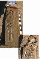 Cronica Cercetărilor Arheologice din România, Campania 2014. Raportul nr. 110