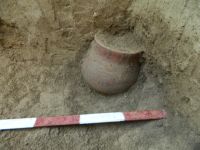 Cronica Cercetărilor Arheologice din România, Campania 2014. Raportul nr. 119