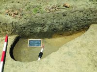 Cronica Cercetărilor Arheologice din România, Campania 2014. Raportul nr. 119