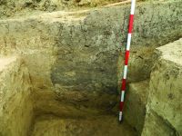 Cronica Cercetărilor Arheologice din România, Campania 2014. Raportul nr. 119